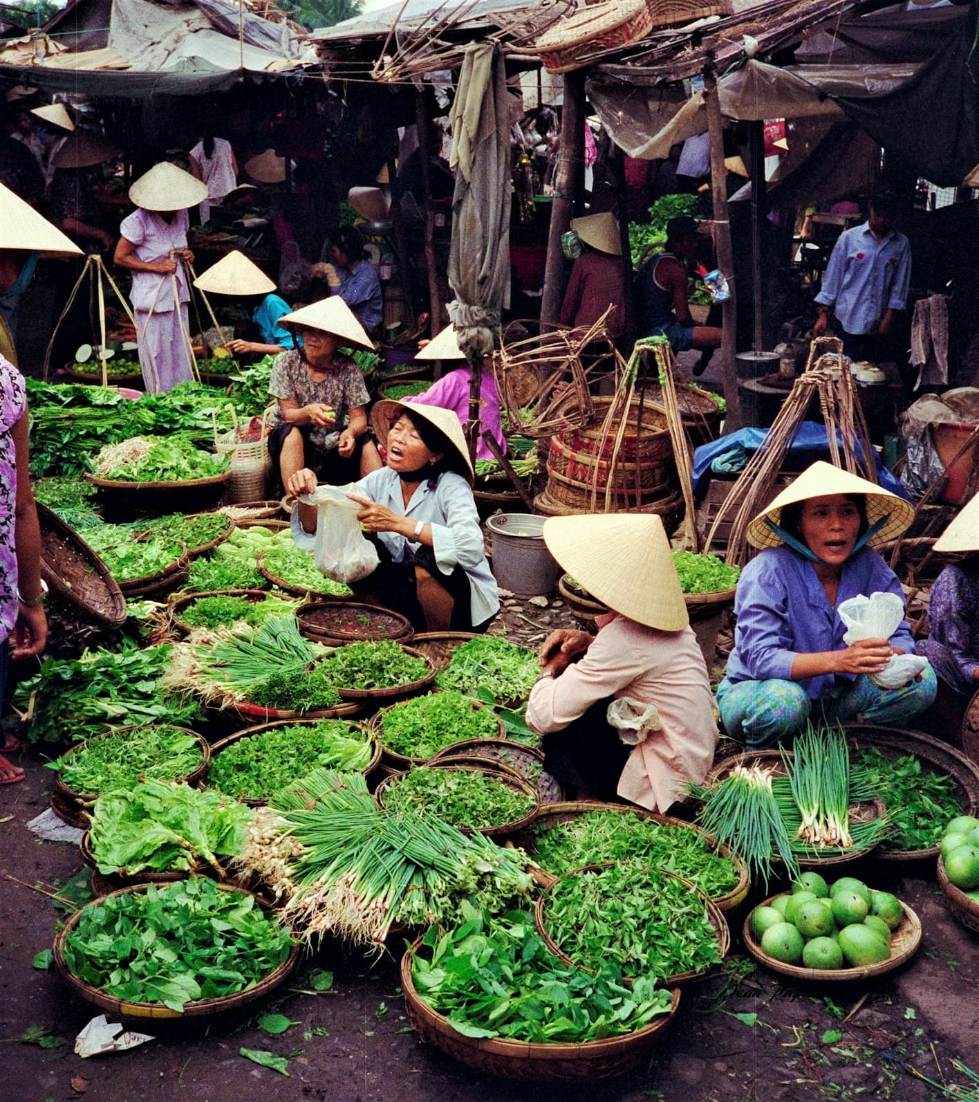 Marché vietnamien en plein air : des vendeuses en chapeau conique assises au milieu de larges paniers d'herbes fraîches, de salades, d'oignons verts et de citrons verts.